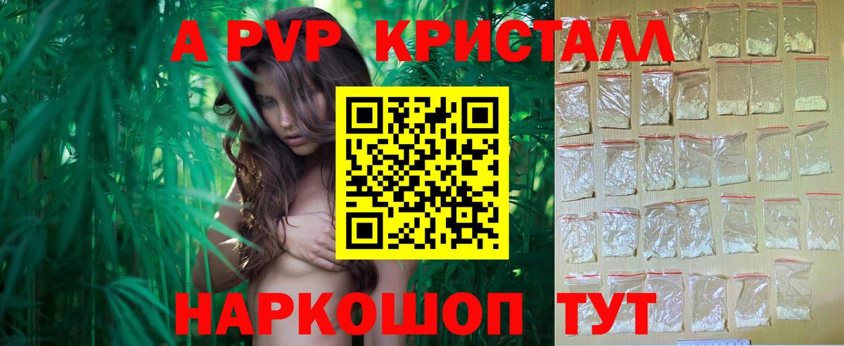 Alfa_PVP СК КРИС Владивосток