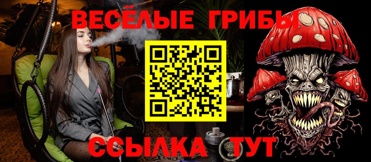 Псилоцибиновые грибы GOLDEN TEACHER Владивосток