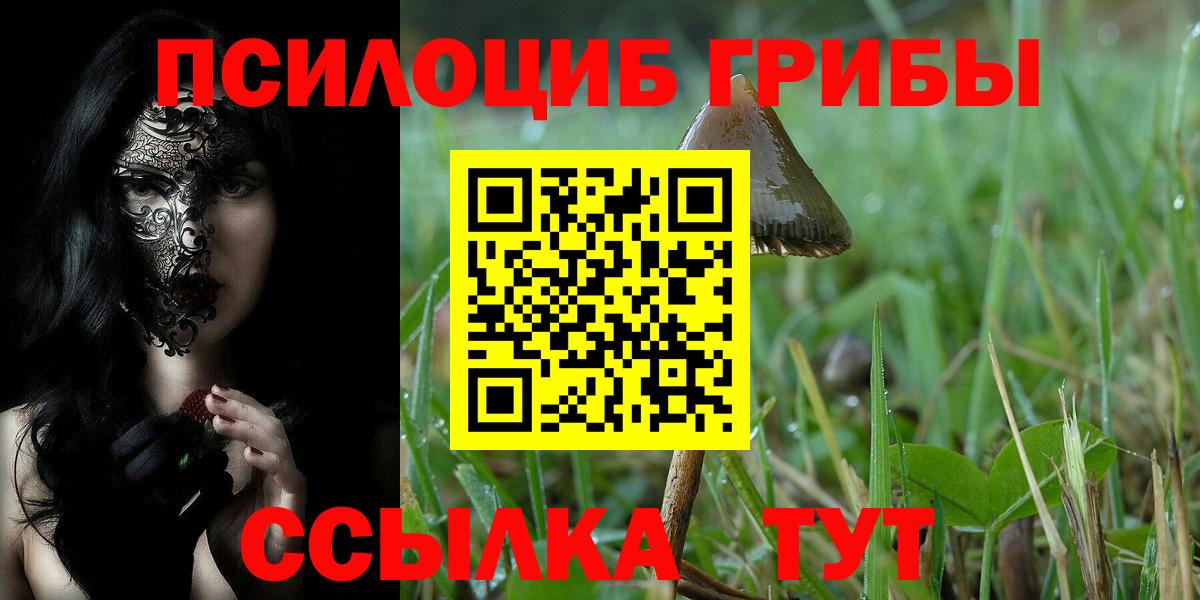 Псилоцибиновые грибы MAGIC MUSHROOMS  Вход с VPN  закладка  Псилоцибиновые грибы ЛСД  Владивосток 