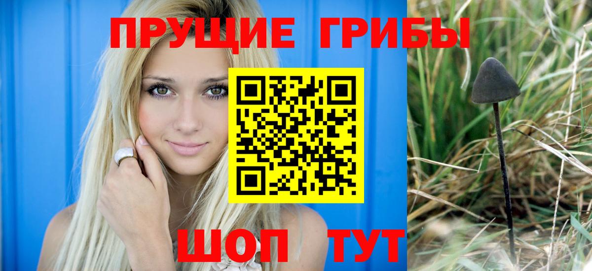 Псилоцибиновые грибы прущие грибы Владивосток